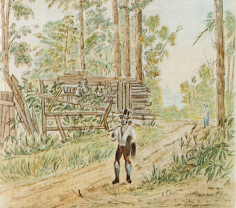 Peter Aylen & The Shiners' War